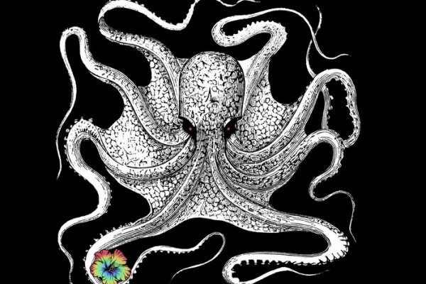 Kraken зеркало официальный